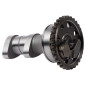 Arbre à cames d'échappement HOT CAMS Stage 2 pour YAMAHA WRF 250, YZF 250 de 2014 à 2017