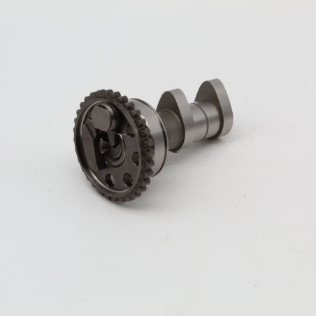 Arbre à cames d'échappement HOT CAMS pour YAMAHA YZF 250 de 2019 à 2020