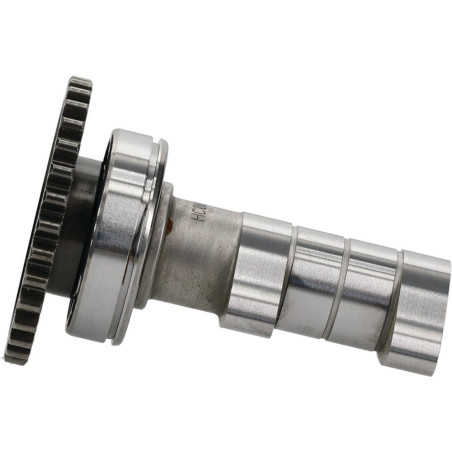 Árbol de levas de admisión HOT CAMS ref. HC00119 para YAMAHA YZF 250 de 2019 a 2020