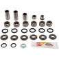 PIVOT WORKS Linkage Bearing Kit for SUZUKI RM 125, RM 250 2001 PIVOT WORKS Linkage Bearing Kit for SUZUKI RM 125, RM 250 2001