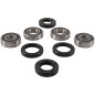 PIVOT WORKS Front Wheel Bearing Kit for HONDA TRX 200 1986-1988