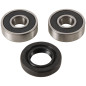 Kit de rodamientos y retenes de rueda delantera PIVOT WORKS para KAWASAKI KDX 50 de 2003 a 2006 Kit de rodamientos y retenes de rueda delantera PIVOT WORKS para KAWASAKI KDX 50 de 2003 a 2006
