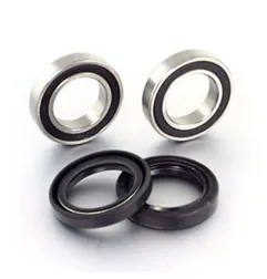 Kit de rodamientos y retenes de rueda delantera PROX para GAS GAS EC 125, EC 200, EC 250, EC 450 de 2004 a 2019