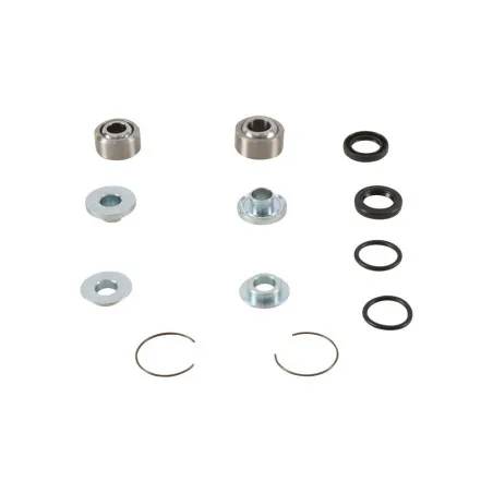 Kit roulements d'amortisseur arrière PIVOT WORKS pour BETA RR 250 de 2013 à 2018