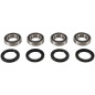 Kit de rodamientos y retenes de rueda trasera PIVOT WORKS para SUZUKI LTA 500 de 2000 a 2001 Kit de rodamientos y retenes de rueda trasera PIVOT WORKS para SUZUKI LTA 500 de 2000 a 2001