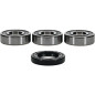 PIVOT WORKS Upgrade Radlager-Satz hinten für YAMAHA BW 350, TW 200 1987-2016