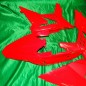 Kit de plásticos de carenado para BETA RR 125 250 300 350 400 450 480 498 500 520 525