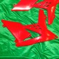 Tapas de radiador POLISPORT para BETA RR 125 250 300 350 400 450 480 498 500 520 525