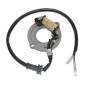 Estator ELECTROSPORT para HONDA CR 80 y 85 de 1980 a 2004