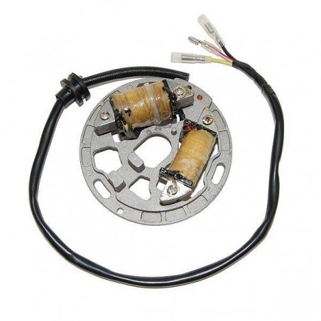 Stator ELECTROSPORT for KAWASAKI KDX 200, 220 from 1989 to 2005 012517 Electrosport € 169.90