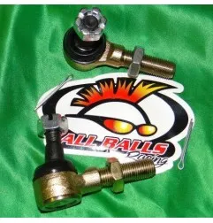 ALL BALLS -Lenkkugelgelenk-Set für YAMAHA, ARCTIC CAT, POLARIS, SUZUKI, ... 411594 ALL BALLS 39,90 €