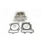 Cylindre et pack joint ATHENA EAZY MX Cylinder 250cc pour SUZUKI RM-Z 250 de 2007-2009 Cylindre et pack joint ATHENA EAZY MX Cylinder 250cc pour SUZUKI RM-Z 250 de 2007-2009
