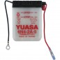 Battery YUASA 6N4-2A-5