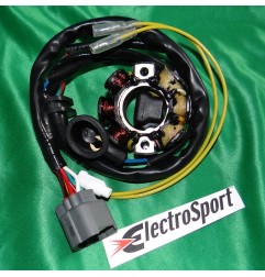 Stator + lighting ELECTROSPORT for KAWASAKI KX250F, SUZUKI RMZ 250 012521 Electrosport 160,60 €