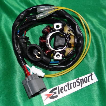 Stator + lighting ELECTROSPORT for KAWASAKI KX250F, SUZUKI RMZ 250 012521 Electrosport 160,60 €