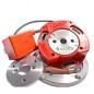 Allumage a rotor interne SELETTRA sans éclairage pour GAS GAS ROOKIE 50cc et 75cc