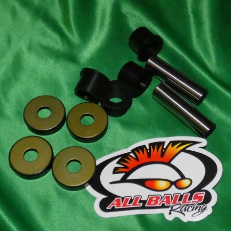 Triangle reconditioning pack ALL BALLS Yamaha Raptor, Blaster, Warrior, YFM,...