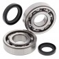 Roulement de vilebrequin ALL BALLS pour HONDA XL 185, 200, 250 et YAMAHA YFM 250 Raptor