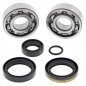 Crankshaft bearing ALL BALLS for HUSQVARNA TC, KTM SX 50cc