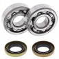 Crankshaft bearing ALL BALLS for HUSQVARNA CR 65 and KTM SX 60, 65