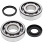 Crankshaft bearing ALL BALLS for HUSQVARNA WR, CR, 125, 250, 300