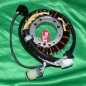 Stator + eclairage TOURMAX para YAMAHA 350 RAPTOR y WARRIOR