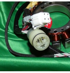 Stator + eclairage TOURMAX para YAMAHA 350 RAPTOR y WARRIOR