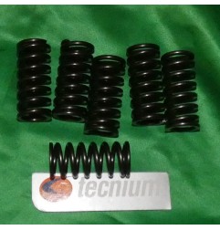 Muelle de embrague TECNIUM para KTM EXC, SX, HONDA XR, HUSQVARNA TE, WR,...