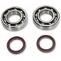 Crankshaft bearing HOT RODS for HUSABERG, HUSQVARNA FE 501, KTM XCF, XC-W and EXC 450, 500