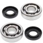 Crankshaft bearing ALL BALLS for KAWASAKI KX, KDX 60, 65, 80, SUZUKI RM,...