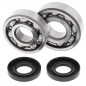 Crankshaft bearing ALL BALLS for KAWASAKI KX 125 from 1985 to 1987