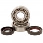 Crankshaft bearing HOT RODS for KAWASAKI KX 125 from 1988 to 2002