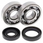 Crankshaft bearing ALL BALLS for KAWASAKI KX 125 from 1988 to 2002