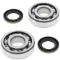 Crankshaft bearing ALL BALLS for KAWASAKI KDX 200 and 220 from 1990 to 2006