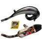 Tubo de escape FRESCO RAW para BETA RR 250 y 300 de 2012 a 2019