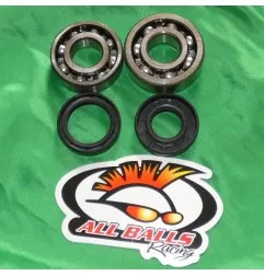 HOT RODS -Kurbelwellenlager für YAMAHA YZ 80 und 85