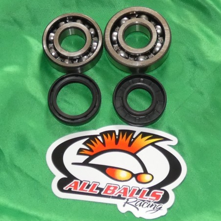 Crankshaft bearing HOT RODS for YAMAHA YZ 80 and 85