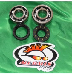 Crankshaft bearing HOT RODS for YAMAHA YZ 80 and 85