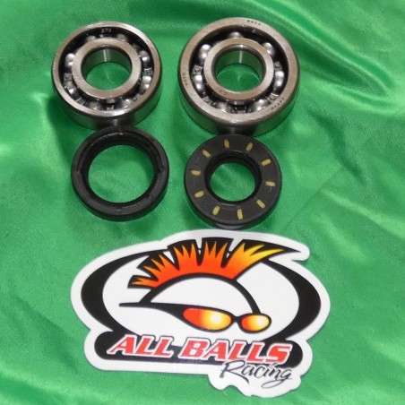 Cojinete del cigüeñal HOT RODS para YAMAHA YZ 80 y 85