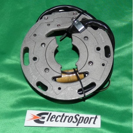 Stator ELECTROSPORT pour KAWASAKI KX 80, 100, KX80, KX100 de 2001 à 2005