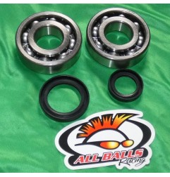 Crankshaft bearing ALL BALLS for SUZUKI LTR 500 from 1987 to 1990