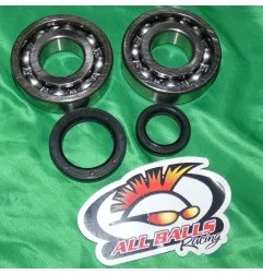 Crankshaft bearing ALL BALLS for SUZUKI LTR 500 from 1987, 1988, 1989 and 1990