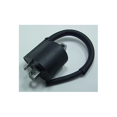 Ignition coil BIHR for KAWASAKI KX 250 from 1995, 1996, 1997, 1998, 1999, 2000, 2001, 2002