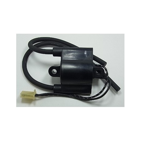 Ignition coil BIHR for SUZUKI DR 650 from 1996, 1997, 1998, 1999, 2000, 2001, 2002, 2003, 2004, 2005, 2009