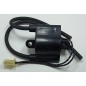 Ignition coil BIHR for SUZUKI DR 650 from 1996 to 2009