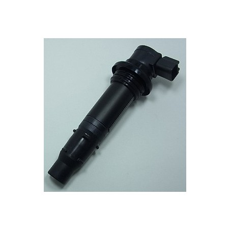 Ignition coil BIHR for YAMAHA WR 250 from 2008, 2009, 2010, 2011, 2012, 2013 and 2014