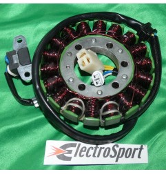 Stator + Beleuchtung von ELECTROSPORT für SUZUKI LTR 450 ccm, Baujahre 2006 bis 2009
