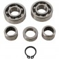 Hot Rods gearbox bearing kit for HUSQVARNA TC and KTM SX 50cc