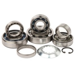 Hot Rods-Getriebelagersatz für KAWASAKI KXF 450 der Baujahre 2008, 2009, 2010, 2011, 2012, 2013, 2019