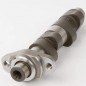 Cam shaft HOT CAMS stage 1 for HONDA XR 250 R from 1996 to 2004